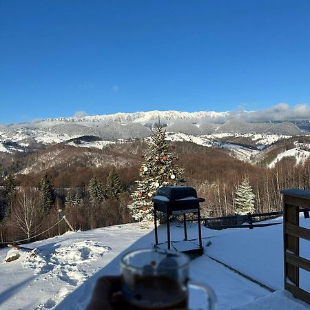 Готель Cabanuta Din Munti Моєчу-де-Жос Екстер'єр фото