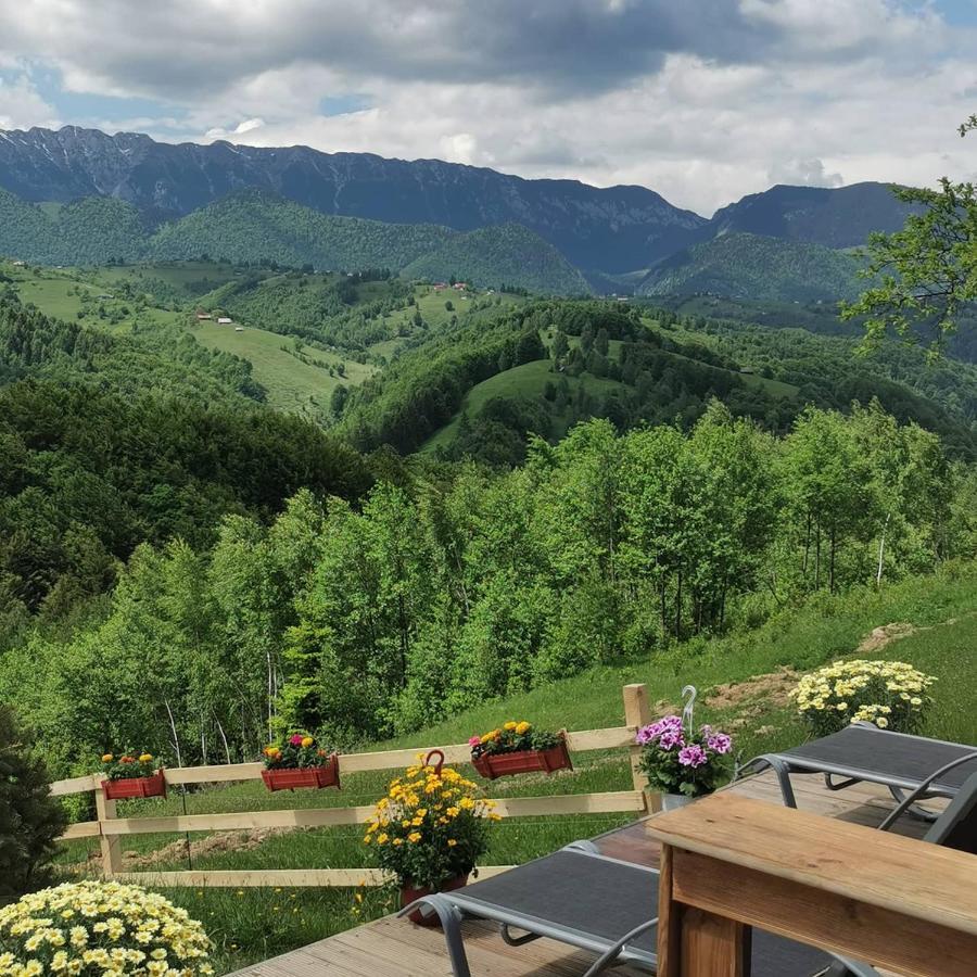 Готель Cabanuta Din Munti Моєчу-де-Жос Екстер'єр фото
