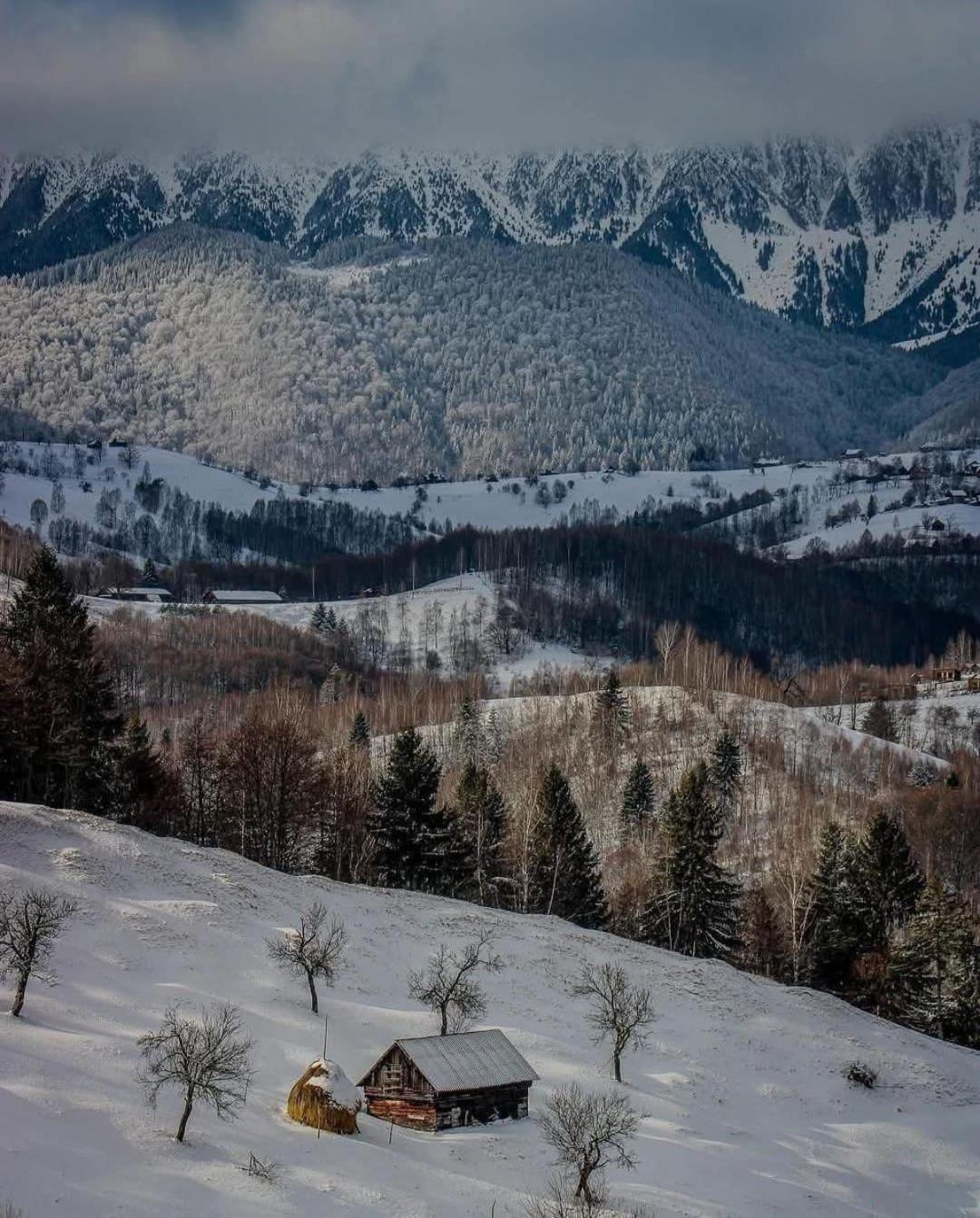 Готель Cabanuta Din Munti Моєчу-де-Жос Екстер'єр фото